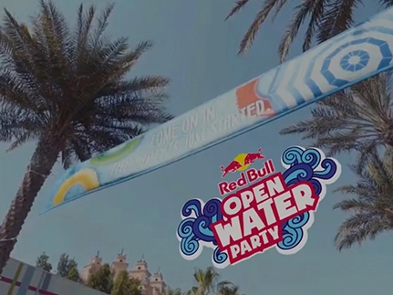 Red Bull Logo